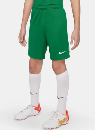 Youth Dri-Fit Lge Knit Iii Shorts 
