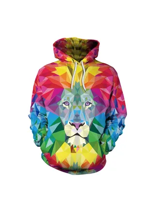 Squality 3D Printing Long Sleeved Hoodie Men/Women Multicolour 