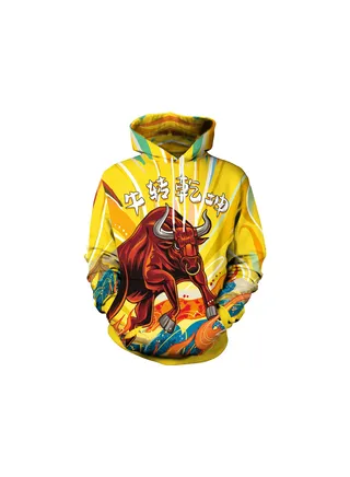 Squality 3D Printing Long Sleeved Hoodie Men/Women Multicolour 
