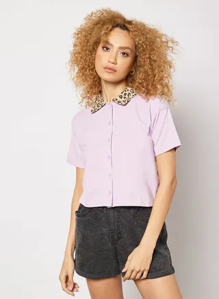 Contrast Collar Knitted Shirt Purple 