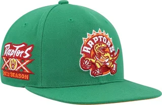 Men's Mitchell & Ness Green Toronto Raptors 20th Season Hardwood Classics Like Mike Snapback Hat