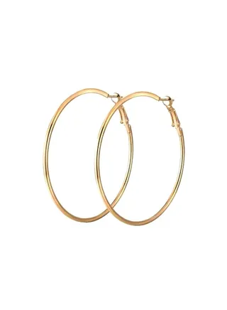Stainless Steel Hoop Earrings 