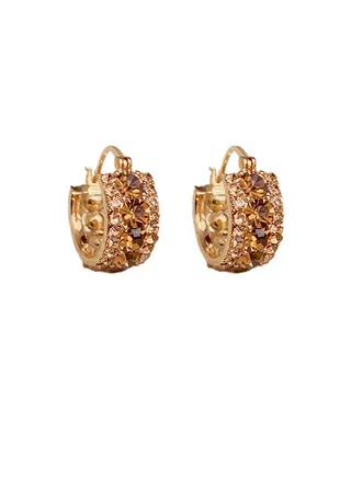 Curry Delicate Zirconia Earrings 
