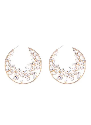 Stone Studded Hoop Earrings 