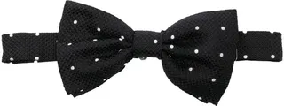 Polka Dot Bow Tie
