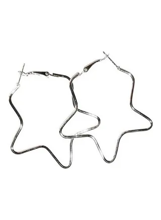 Metal Hoop Earrings 