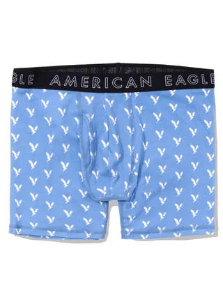 AEO Eagles 6" Classic Boxer Brief 
