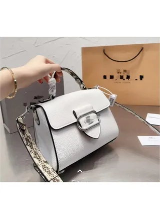 Evening Bags Designer Shoulder Bag  Beach Bag  Designer Crossbody Handbag For Women Leather Female Fashion Trendy Tabby bucket bag 