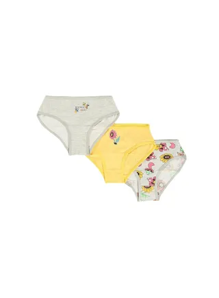 Pack of 3 Girly Colored Briefs 