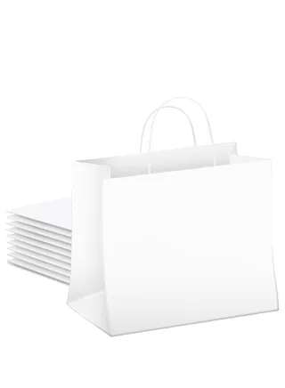 15 Pcs Sturdy White Paper Bags with Handles Large Size 