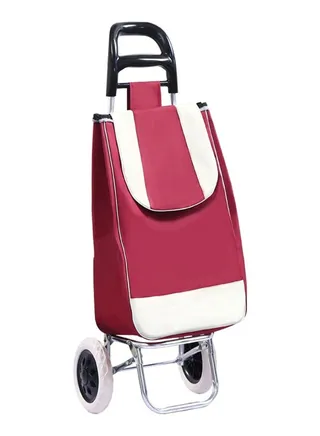 2 Wheels Foldable Grocery Shopping Trolley With Detachable Bag 