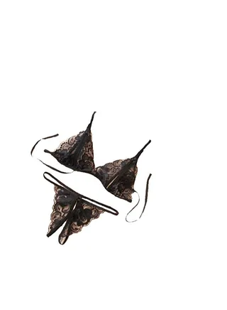 Lingerie Lace Babydoll 2 Piece  Bra and Panty Sets 