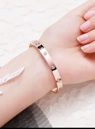 Stainless Steel Bracelet with Zircon Stones in A Modern Design for Women 