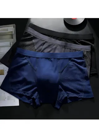 3 Pack Set Men's Mesh Boxers Shorts Briefs Quick-drying Modal Breathable Soft Underpants Summer Cool High Elastic Teenager Classic Underwear 