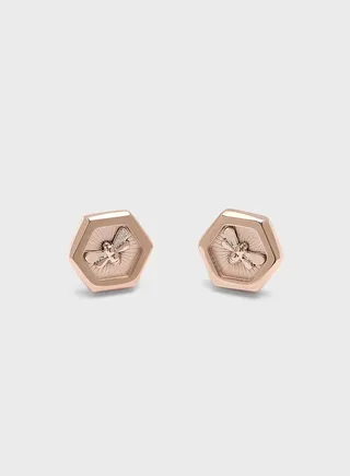 Rod With Stud Earrings