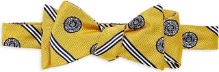 Notre Dame Striped Silk Self-Tie Bow Tie