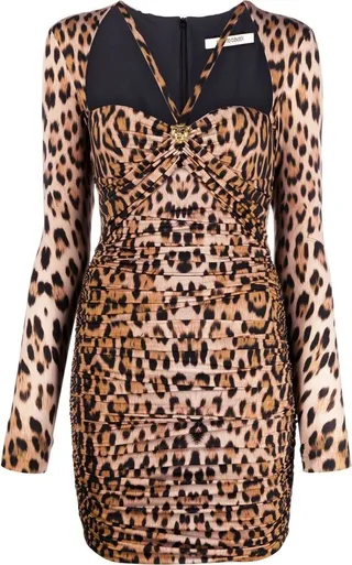Leopard Print Minidress