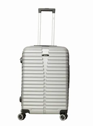 Destiny Checked Luggage | Hardside Soft Handle Trolley with Universal Lock |Double 360° 4 Wheeler| Large-28 Inch, Silver 