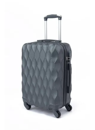 Cabin Carry Check-In Luggage Trolley Size 20 inch Grey 