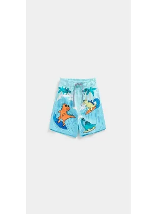 Dinosaur Board Shorts 