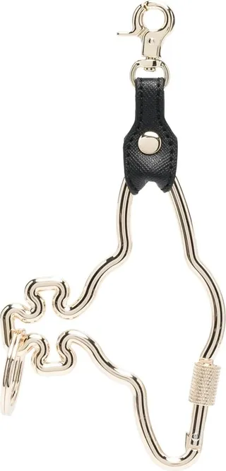 Orb carabiner keyring