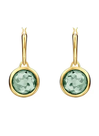 Tahlia Elegant Earrings 