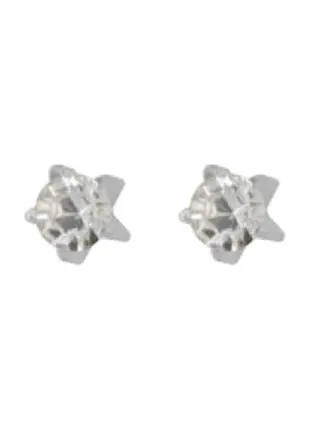 316L Stainless Steel Crystal Swarovski Earrings 