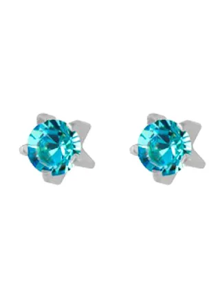 Stainless Steel Swarovski Earrings 
