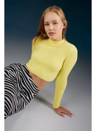 Woman Regular Fit Crew Neck Long Sleeve Tricot Pullover 