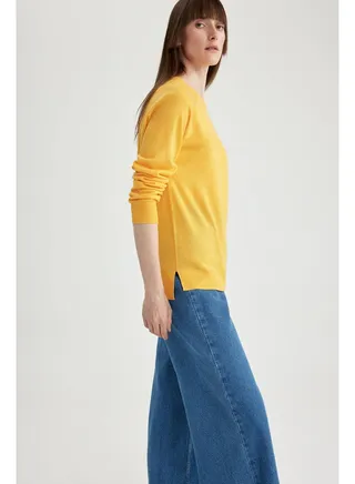 Woman Regular Fit Crew Neck Long Sleeve Tricot Pullover 
