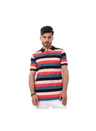 Embroidered Casual Poloshirt Multicolour 