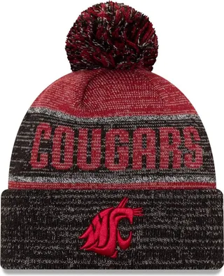 Men's Crimson Washington State Cougars Team Freeze Cuffed Knit Hat with Pom