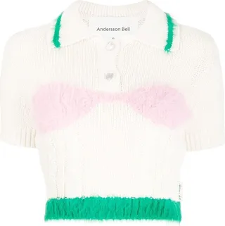 Intarsia Knit Cropped Top