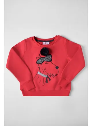 Girls SweatShirt 