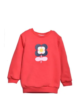 Baby Girls SweatShirt 