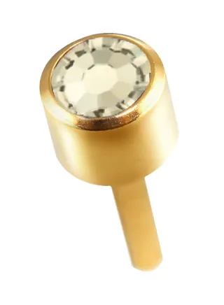 Exclusive Ear Studs 
