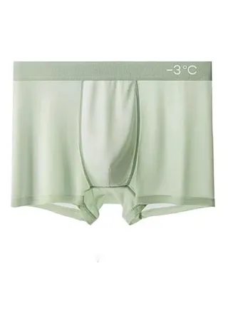 Men's Seamless Boxer Briefs, Ice Silk Underwear, Seamless Thin Breathable Silk Antibacterial Shorts Green XL 