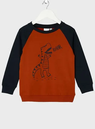 Kids Dino Print Sweatshirt 