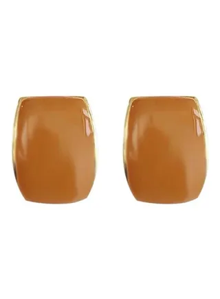 925 Sterling Silver Convex Geometric Shape High-End Style Earrings 
