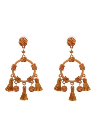 Charms And Tassel Earrings 