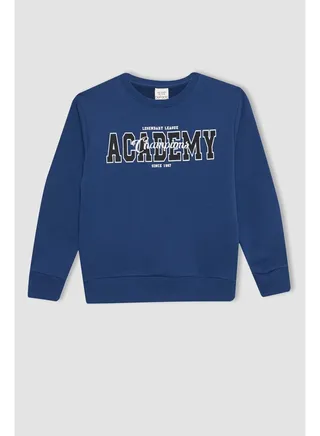 Boy Regular Fit Crew Neck Long Sleeve Knitted Sweat Shirt 