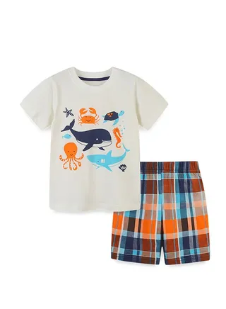 Boys Stylish Comfy T-Shirt And Shorts Set 