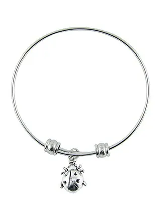 Stainless Steel Bangle Bracelet 