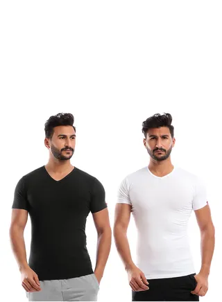 Bundle Of Two V-Neck For Men 