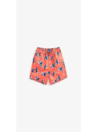 Toucan Board Shorts 