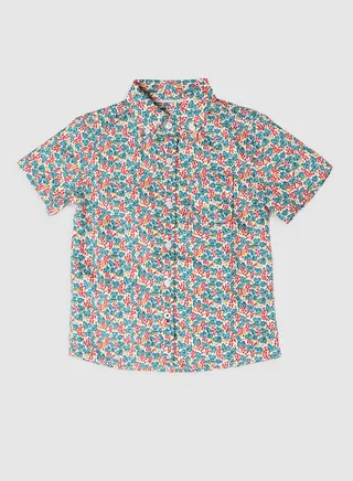 Baby Boys Collared Neck Short Sleeve Shirt Multicolour 