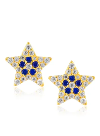 Gold Earrings in 22kt Gold 