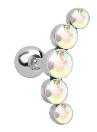 Stainless Steel Earring 