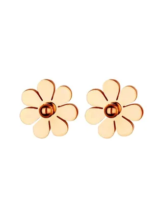 Stainless Steel Stud Earrings 
