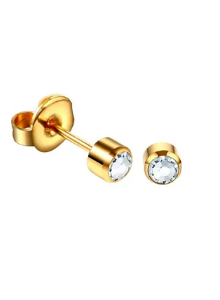 Bezel Series Earrings 